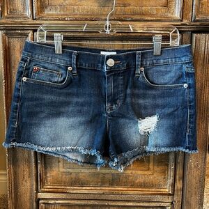 Hudson fray hem distressed jean denim shorts Sz 28 summer spring beach pool